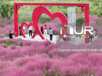 Visitors play in the pink grass at Guishan Park in Zaozhuang, China, on October 6, 2024. (