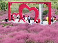 Visitors play in the pink grass at Guishan Park in Zaozhuang, China, on October 6, 2024. (