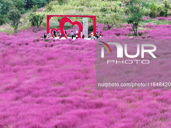 Visitors play in the pink grass at Guishan Park in Zaozhuang, China, on October 6, 2024. (