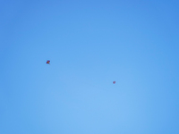 Kids fly kites on the occasion of the Dashain festival in the outskirts of Kathmandu, Nepal, on October 7, 2024. (