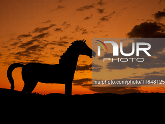 The Black Hills Wild Horse Sanctuary provides a home to America's Wild Mustangs. Over 1,000 animals run free on 11,000 acres of canyons and...