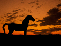 The Black Hills Wild Horse Sanctuary provides a home to America's Wild Mustangs. Over 1,000 animals run free on 11,000 acres of canyons and...