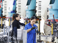 Workers work at the production workshop of Jiangsu Xinhua Auto Parts Co LTD in Sihong Economic Development Zone in Suqian, Jiangsu province,...