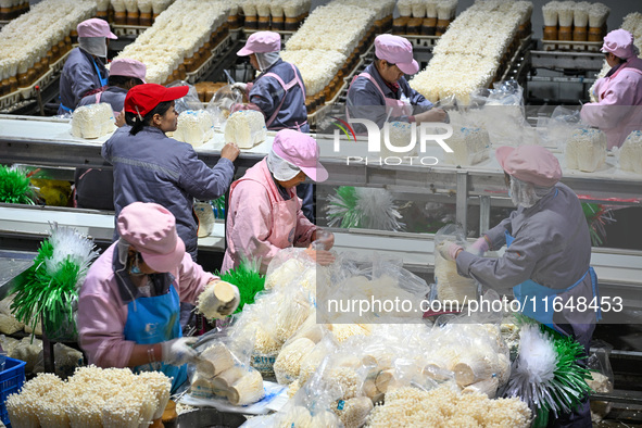 Workers pack golden mushrooms in a production workshop of Jiangsu Hualu Biotechnology Co LTD in Siyang National Modern Agriculture Industria...