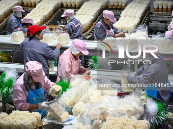 Workers pack golden mushrooms in a production workshop of Jiangsu Hualu Biotechnology Co LTD in Siyang National Modern Agriculture Industria...