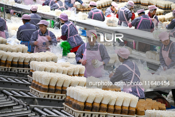 Workers pack golden mushrooms in a production workshop of Jiangsu Hualu Biotechnology Co LTD in Siyang National Modern Agriculture Industria...