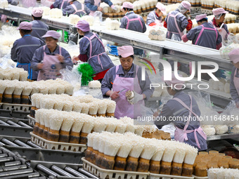 Workers pack golden mushrooms in a production workshop of Jiangsu Hualu Biotechnology Co LTD in Siyang National Modern Agriculture Industria...