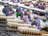 Workers pack golden mushrooms in a production workshop of Jiangsu Hualu Biotechnology Co LTD in Siyang National Modern Agriculture Industria...