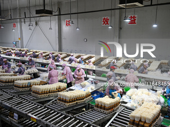 Workers pack golden mushrooms in a production workshop of Jiangsu Hualu Biotechnology Co LTD in Siyang National Modern Agriculture Industria...