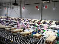 Workers pack golden mushrooms in a production workshop of Jiangsu Hualu Biotechnology Co LTD in Siyang National Modern Agriculture Industria...