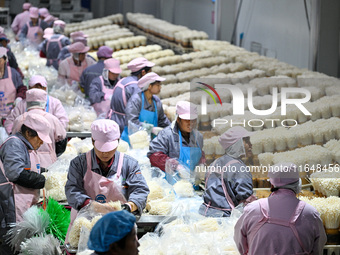 Workers pack golden mushrooms in a production workshop of Jiangsu Hualu Biotechnology Co LTD in Siyang National Modern Agriculture Industria...