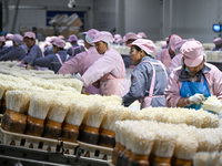 Workers pack golden mushrooms in a production workshop of Jiangsu Hualu Biotechnology Co LTD in Siyang National Modern Agriculture Industria...