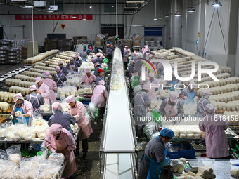 Workers pack golden mushrooms in a production workshop of Jiangsu Hualu Biotechnology Co LTD in Siyang National Modern Agriculture Industria...