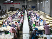 Workers pack golden mushrooms in a production workshop of Jiangsu Hualu Biotechnology Co LTD in Siyang National Modern Agriculture Industria...