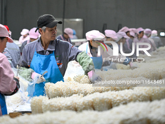 Workers pack golden mushrooms in a production workshop of Jiangsu Hualu Biotechnology Co LTD in Siyang National Modern Agriculture Industria...