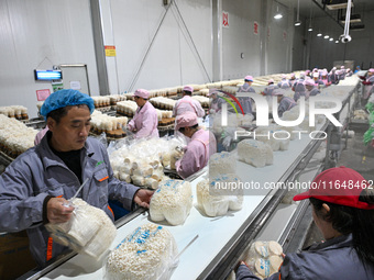 Workers pack golden mushrooms in a production workshop of Jiangsu Hualu Biotechnology Co LTD in Siyang National Modern Agriculture Industria...