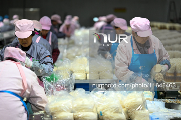 Workers pack golden mushrooms in a production workshop of Jiangsu Hualu Biotechnology Co LTD in Siyang National Modern Agriculture Industria...