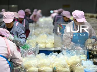 Workers pack golden mushrooms in a production workshop of Jiangsu Hualu Biotechnology Co LTD in Siyang National Modern Agriculture Industria...