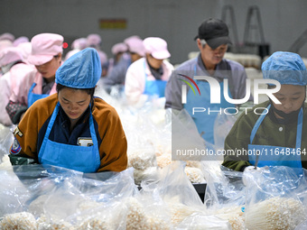 Workers pack golden mushrooms in a production workshop of Jiangsu Hualu Biotechnology Co LTD in Siyang National Modern Agriculture Industria...