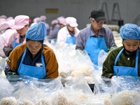 Workers pack golden mushrooms in a production workshop of Jiangsu Hualu Biotechnology Co LTD in Siyang National Modern Agriculture Industria...