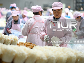 Workers pack golden mushrooms in a production workshop of Jiangsu Hualu Biotechnology Co LTD in Siyang National Modern Agriculture Industria...