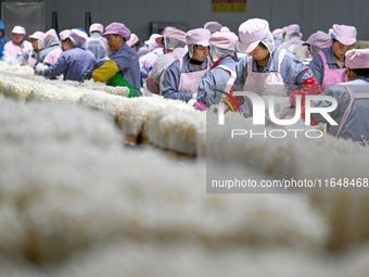 Workers pack golden mushrooms in a production workshop of Jiangsu Hualu Biotechnology Co LTD in Siyang National Modern Agriculture Industria...