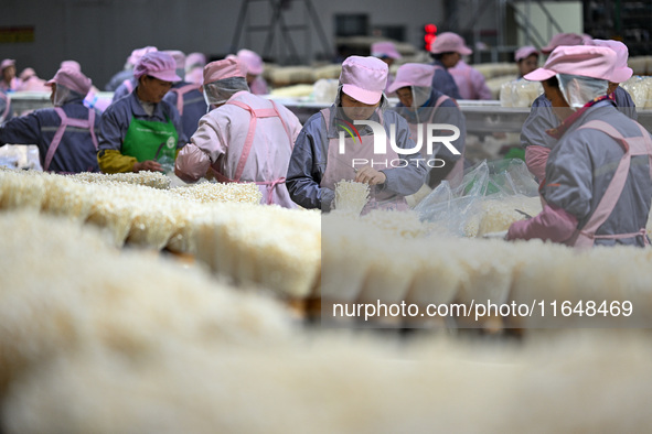 Workers pack golden mushrooms in a production workshop of Jiangsu Hualu Biotechnology Co LTD in Siyang National Modern Agriculture Industria...