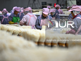 Workers pack golden mushrooms in a production workshop of Jiangsu Hualu Biotechnology Co LTD in Siyang National Modern Agriculture Industria...