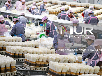 Workers pack golden mushrooms in a production workshop of Jiangsu Hualu Biotechnology Co LTD in Siyang National Modern Agriculture Industria...