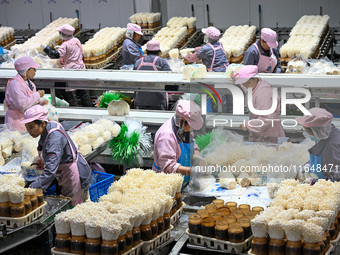 Workers pack golden mushrooms in a production workshop of Jiangsu Hualu Biotechnology Co LTD in Siyang National Modern Agriculture Industria...