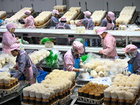 Workers pack golden mushrooms in a production workshop of Jiangsu Hualu Biotechnology Co LTD in Siyang National Modern Agriculture Industria...