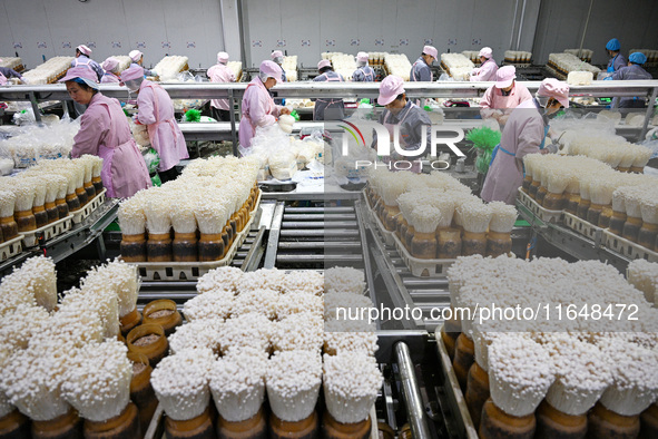 Workers pack golden mushrooms in a production workshop of Jiangsu Hualu Biotechnology Co LTD in Siyang National Modern Agriculture Industria...