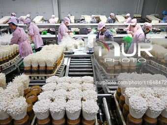 Workers pack golden mushrooms in a production workshop of Jiangsu Hualu Biotechnology Co LTD in Siyang National Modern Agriculture Industria...