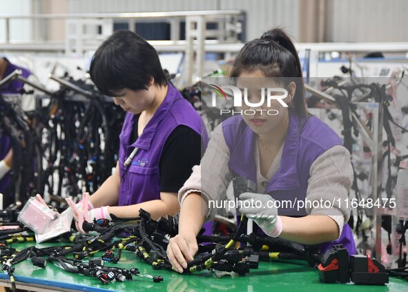 Workers work on a car harness production line at Handan Yongxu Automotive Electronics Co LTD in an industrial park in Yongnian district of H...