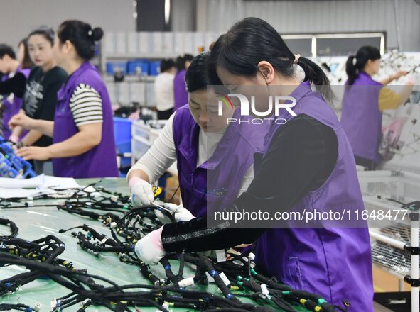 Workers work on a car harness production line at Handan Yongxu Automotive Electronics Co LTD in an industrial park in Yongnian district of H...