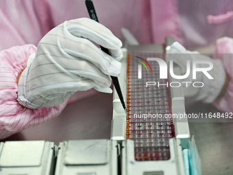 A worker works on an electronic component production line at Jiangsu Baopulai Semiconductor Co LTD in the Siyang Economic Development Zone i...