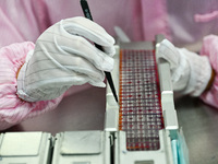 A worker works on an electronic component production line at Jiangsu Baopulai Semiconductor Co LTD in the Siyang Economic Development Zone i...