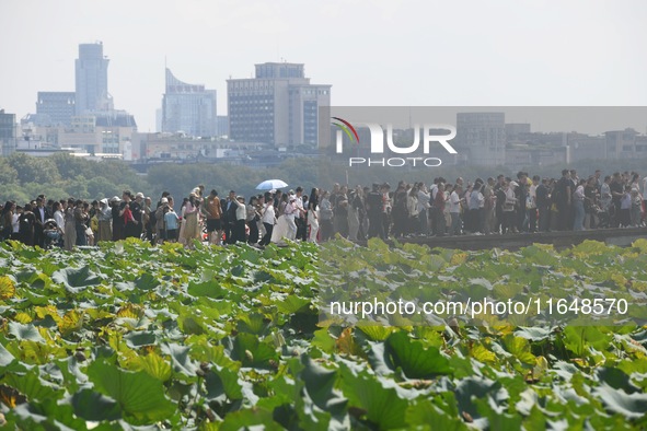 Crowds of people gather at West Lake during the National Day holiday in Hangzhou, China, on October 2, 2024. On October 8, 2024, according t...