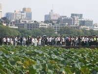 Crowds of people gather at West Lake during the National Day holiday in Hangzhou, China, on October 2, 2024. On October 8, 2024, according t...