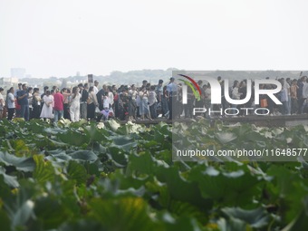 Crowds of people gather at West Lake during the National Day holiday in Hangzhou, China, on October 2, 2024. On October 8, 2024, according t...