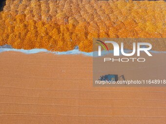 A farmer dries corn in Liaocheng, China, on October 8, 2024. (