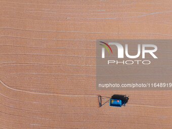 A farmer dries corn in Liaocheng, China, on October 8, 2024. (