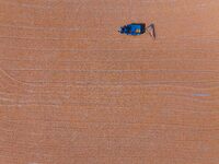 A farmer dries corn in Liaocheng, China, on October 8, 2024. (