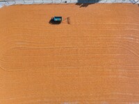 A farmer dries corn in Liaocheng, China, on October 8, 2024. (