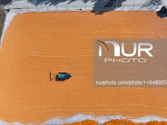 A farmer dries corn in Liaocheng, China, on October 8, 2024. (