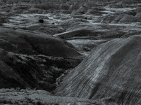 Badlands National Park in South Dakota, USA, contains 242,756 acres of sharply eroded buttes and pinnacles, along with the largest undisturb...