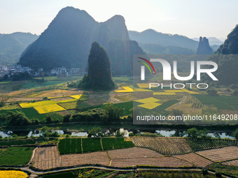 A photo taken in Guilin, China, on October 7, 2024, shows the colorful rice landscape in autumn in South China's Guangxi Zhuang Autonomous r...