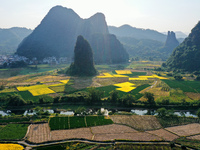 A photo taken in Guilin, China, on October 7, 2024, shows the colorful rice landscape in autumn in South China's Guangxi Zhuang Autonomous r...