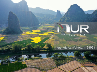 A photo taken in Guilin, China, on October 7, 2024, shows the colorful rice landscape in autumn in South China's Guangxi Zhuang Autonomous r...