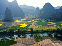 A photo taken in Guilin, China, on October 7, 2024, shows the colorful rice landscape in autumn in South China's Guangxi Zhuang Autonomous r...